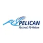 FlyPelican Airlines logo