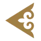 Эйр Астана logo