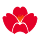 Qingdao Airlines logo