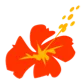 Aircalin logo