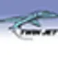 Twin Jet logo