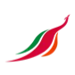 スリランカ航空(SriLankan Airlines) logo